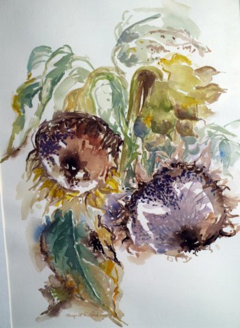 sonnenblumenaquarell.jpg